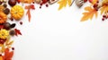 White background with autumn natural decoration from various colorful plants Royalty Free Stock Photo