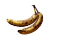 White, background, banana, rotten, isolated, spoiled, nature, food, closeup, yellow, old, natural, fridge, darkened, fruit, organi