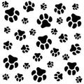 Dog paw. White background and dog tracks. Pattern with traces. Royalty Free Stock Photo