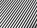White background with black lines. Black background with white lines. Photo of parallel lines. Royalty Free Stock Photo