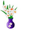 On a white background in a blue vase is a bouquet of daffodils Royalty Free Stock Photo