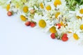 On a white background, a blurred image of a fragment of a bouquet with chamomiles and strawberries. Summer card with space for Royalty Free Stock Photo