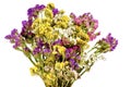 White background bouquet of colorful wildflowers Royalty Free Stock Photo