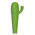 White background with cactus with small branch