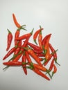 White background with cayenne pepper, red cayenne pepper. Cabe rawit, cabai, Indonesian chili, Indonesian cayenne pepper.