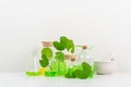 White Background Centella asiatica (gotu) for Biological experiment presentation