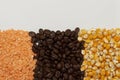 white background - coffee and main seeds, pink lentils Royalty Free Stock Photo