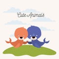 White background with color scene couple cute seals aquatic animals in grass