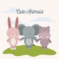 White background with color scene rabbit elephant and hippopotamus cute animals holding hands in grass Royalty Free Stock Photo