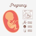White background with color silhouette human fetus and icons pregnancy Royalty Free Stock Photo