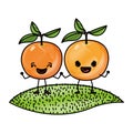 White background of colored crayon silhouette of realistic pair of orange fruits caricature over grass