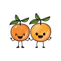 White background of colored crayon silhouette of realistic pair of orange fruits caricature