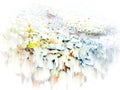 White Background Colours Abstract Art
