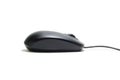 white background. computer mouse Royalty Free Stock Photo