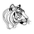 A white background displays a basic portrayal of a tiger's face in a straightforward and lifelike drawing.