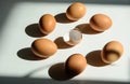 On a white background, eggs are arranged in a circle Royalty Free Stock Photo