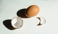 On a white background, eggs cast dark shadows Royalty Free Stock Photo