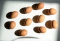 On a white background, eggs cast dark shadows Royalty Free Stock Photo