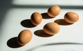 On a white background, eggs cast dark shadows Royalty Free Stock Photo