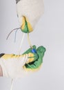 white background. electrical wires. the master removes the insulation with the help of a tool. close-up