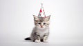 White background, felicitous kitty with birthday hat Royalty Free Stock Photo