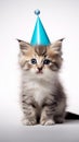 White background, felicitous kitty with birthday hat Royalty Free Stock Photo