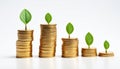 On a white background, five stacks of gold coins decrease in height from left to right, with a small green sprout on top Royalty Free Stock Photo