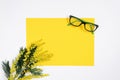 On a white background flat lay with a yellow mimosa flower, glasses, a female floral desktop. The concept of a stylish spring morn Royalty Free Stock Photo