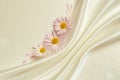 White background with folds and asters Royalty Free Stock Photo