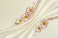 White background with folds and daisies Royalty Free Stock Photo