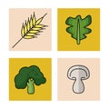 White background with frames of wheat and vegetables lettuce broccoli and mushroom