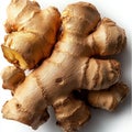 On a white background, a fresh ginger root with a rough surface texture is isolated and ready for use Royalty Free Stock Photo