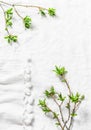 White background with fresh green leaves branches with copy space. Rustic spring frame background composition with free space for