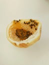 On A White Background Half Of A Juicy Passion Fruit And With Its Vibrant Colors Of Yellow And With Its Orange Pulp