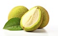 A White Background Highlighting a Ripened Breadfruit -Generative Ai Royalty Free Stock Photo