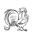 On a white background, the image of a cockerel with a black outline