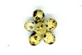 quail eggs on white background