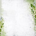 White background with lily of the valley Royalty Free Stock Photo