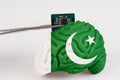 On a white background, a model of the brain with a picture of a flag - Pakistan, a microcircuit