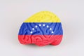 On a white background, a model of the brain with a picture of a flag - Venezuela