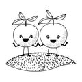 White background of monochrome pair of orange fruits caricature over grass