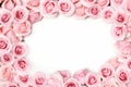 White background with pink roses arranged in square frame on the bottom. Generative AI Royalty Free Stock Photo