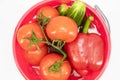 On a white background in a pink small bucket of water are vegetables: red tomatoes on a branch, cucumbers, red bell peppers Royalty Free Stock Photo