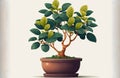 White background with a potted ficus tree & x28;pipal& x29;