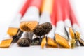 Assorted artists paint brushes isolated on a white background Royalty Free Stock Photo