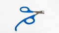 On a white background, scissors for cutting the claws of a pet lie isolated. Close-up of a steel nail cutter with a blue Royalty Free Stock Photo