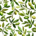 A white background showcases a seamless olea floral watercolor pattern that includes olive branches and leaves Royalty Free Stock Photo