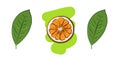 Color illustration: white background shows oranges on a light green background and leaves on a white background.
