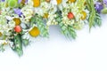 On a white background with space for writing text, blurred image of a part of a bouquet of daisies, spikelets and wildflowers.