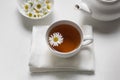Tea in a white cup close-up of natural chamomile Royalty Free Stock Photo
